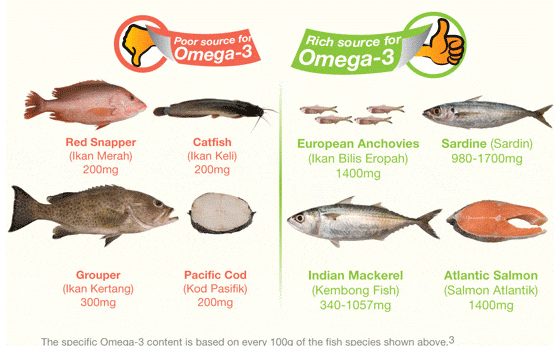 What Fish Is Good For Cholesterol