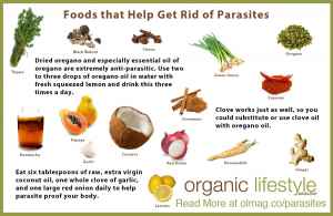 18 Signs There Are Parasites in Your Body