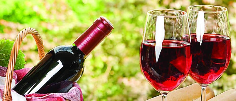 10 Health Benefits of Wine You Should Know